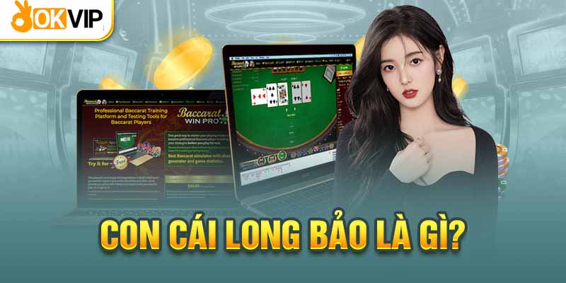 Con cái long bảo trong Baccarat là gì?