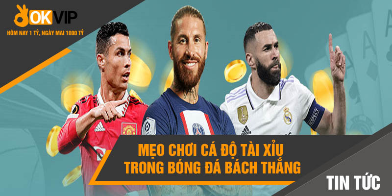 Mẹo chơi cá độ tài xỉu trong bóng đá bách thắng