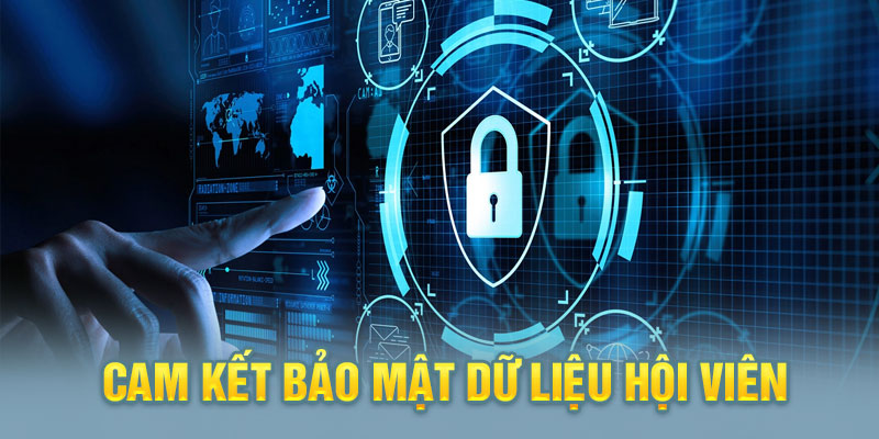 Cam kết của OKVIP rạch ròi minh bạch trong việc sử dụng data