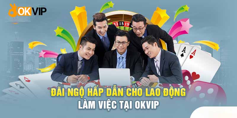 môi trường làm việc Okvip