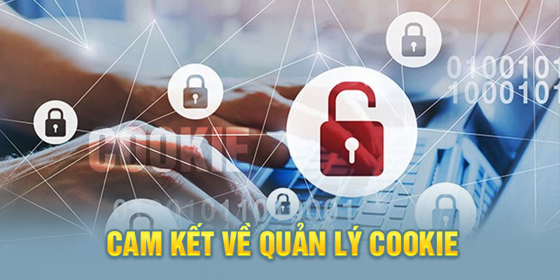 Quản lý cookie người chơi nghiêm ngặt